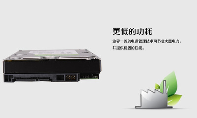西部數(shù)據(jù)WD30EZRX 3TB綠盤(pán)深度評(píng)測(cè) 從參數(shù)到供應(yīng)鏈價(jià)值解析